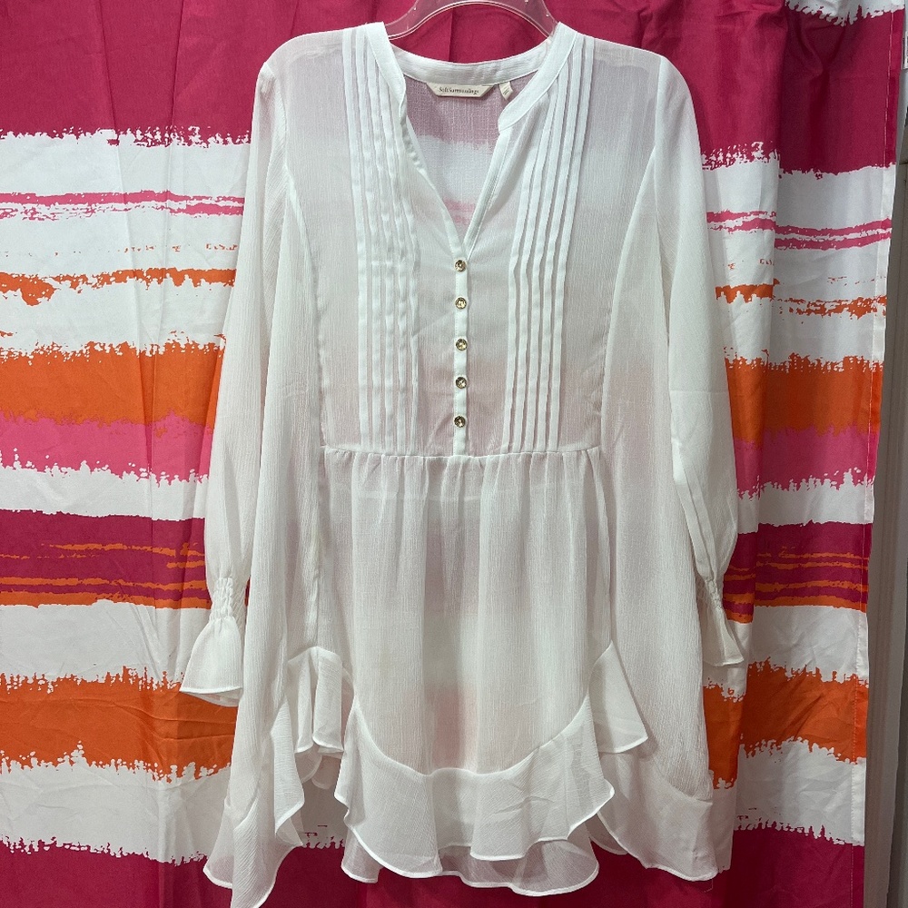 Sheer Tunic top